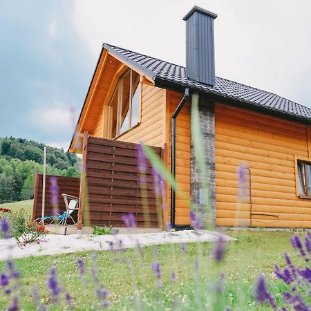 Domki Pod Bukowym Lasem Wańkowa Exteriér fotografie