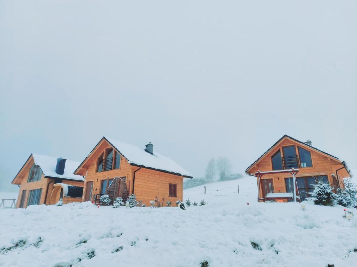 Domki Pod Bukowym Lasem Wańkowa Exteriér fotografie