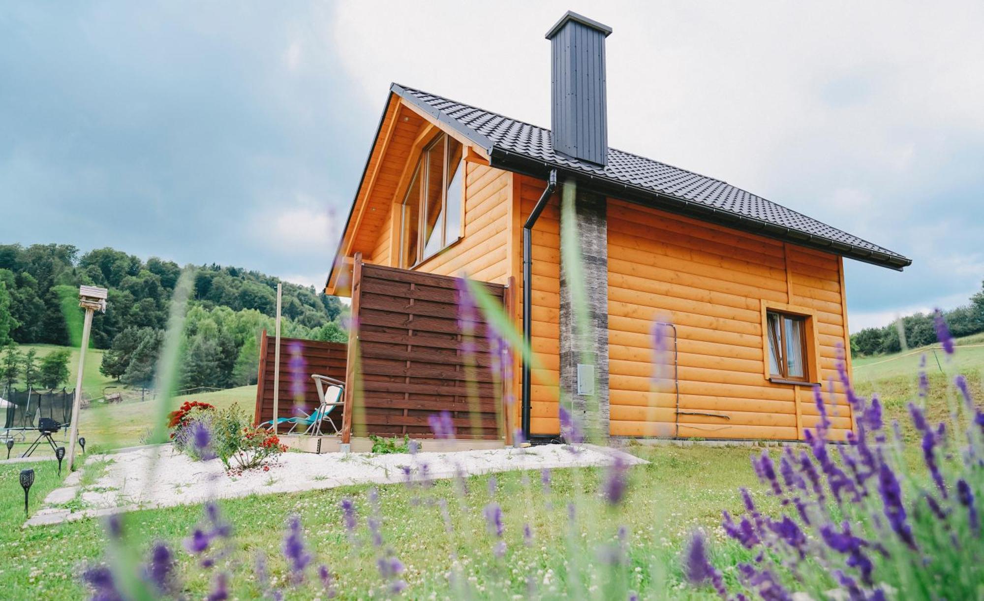 Domki Pod Bukowym Lasem Wańkowa Exteriér fotografie